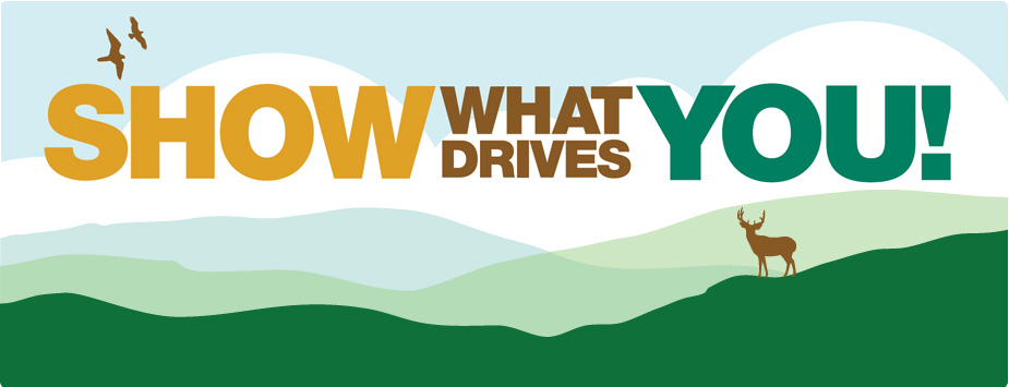 Show what drives you!